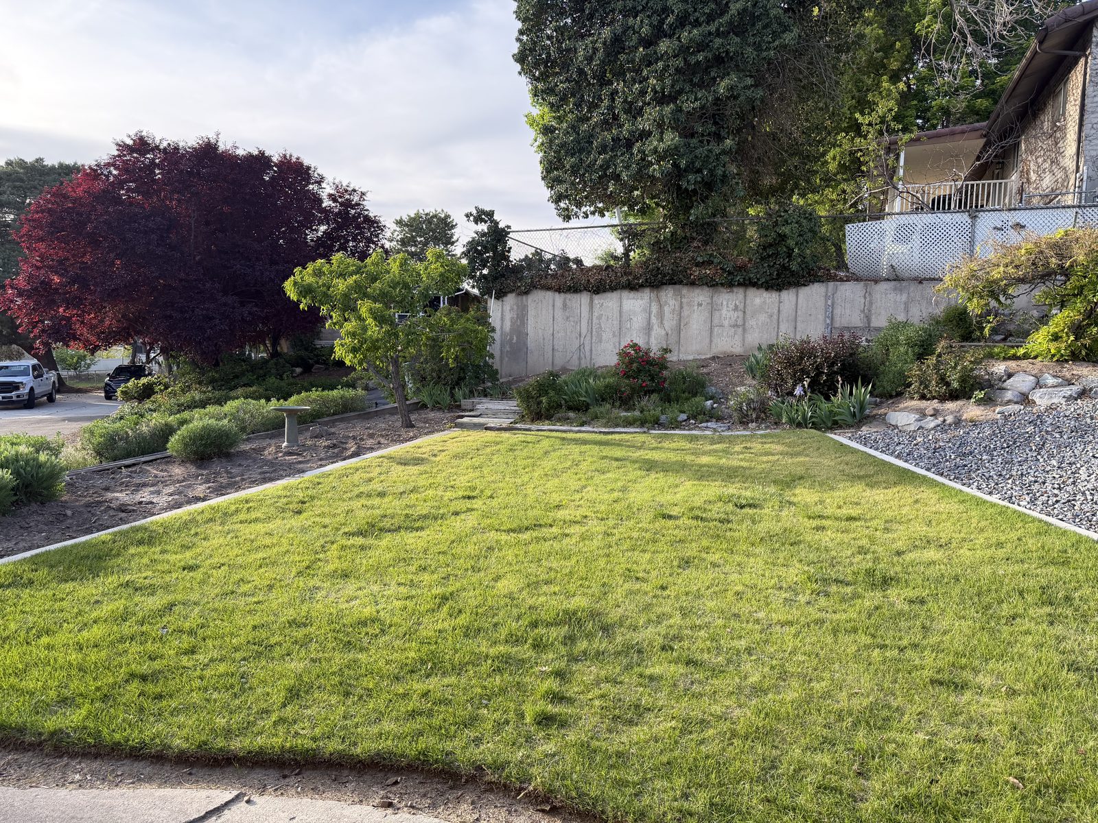Front landscaping
